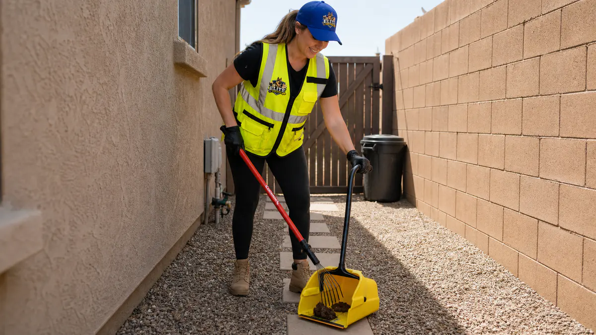Crew on a twice-weekly cleanup route